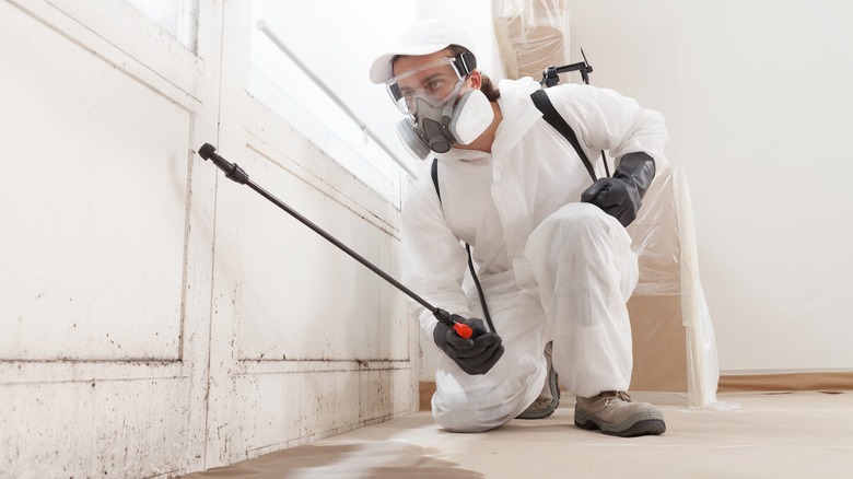 man using sprayer for mold