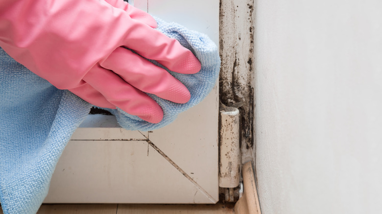 person cleaning mold off window