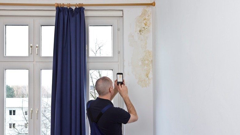 mold near window