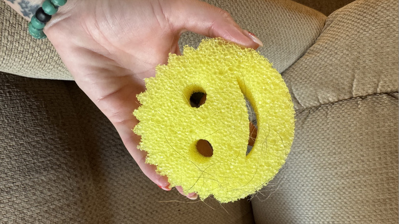 Scrub Daddy with pet fur from velvet recliner