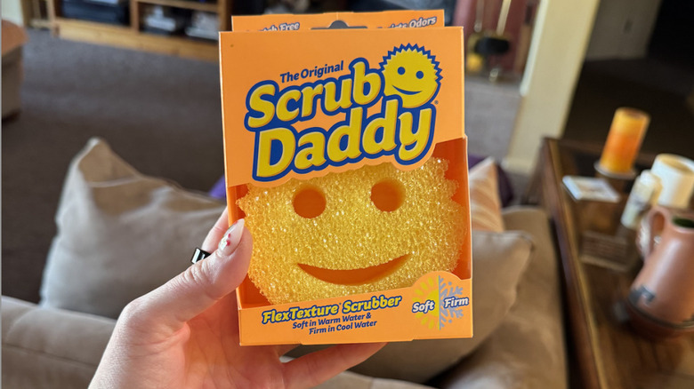 Scrub Daddy in box