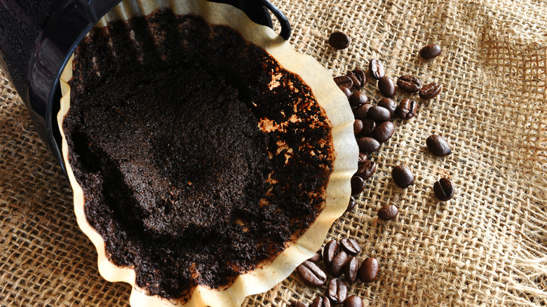 used coffee grounds