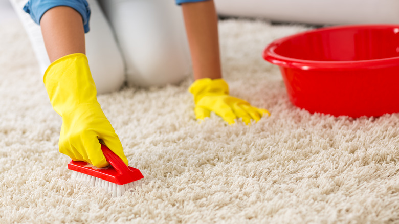 Woman scrubs carpet with brush