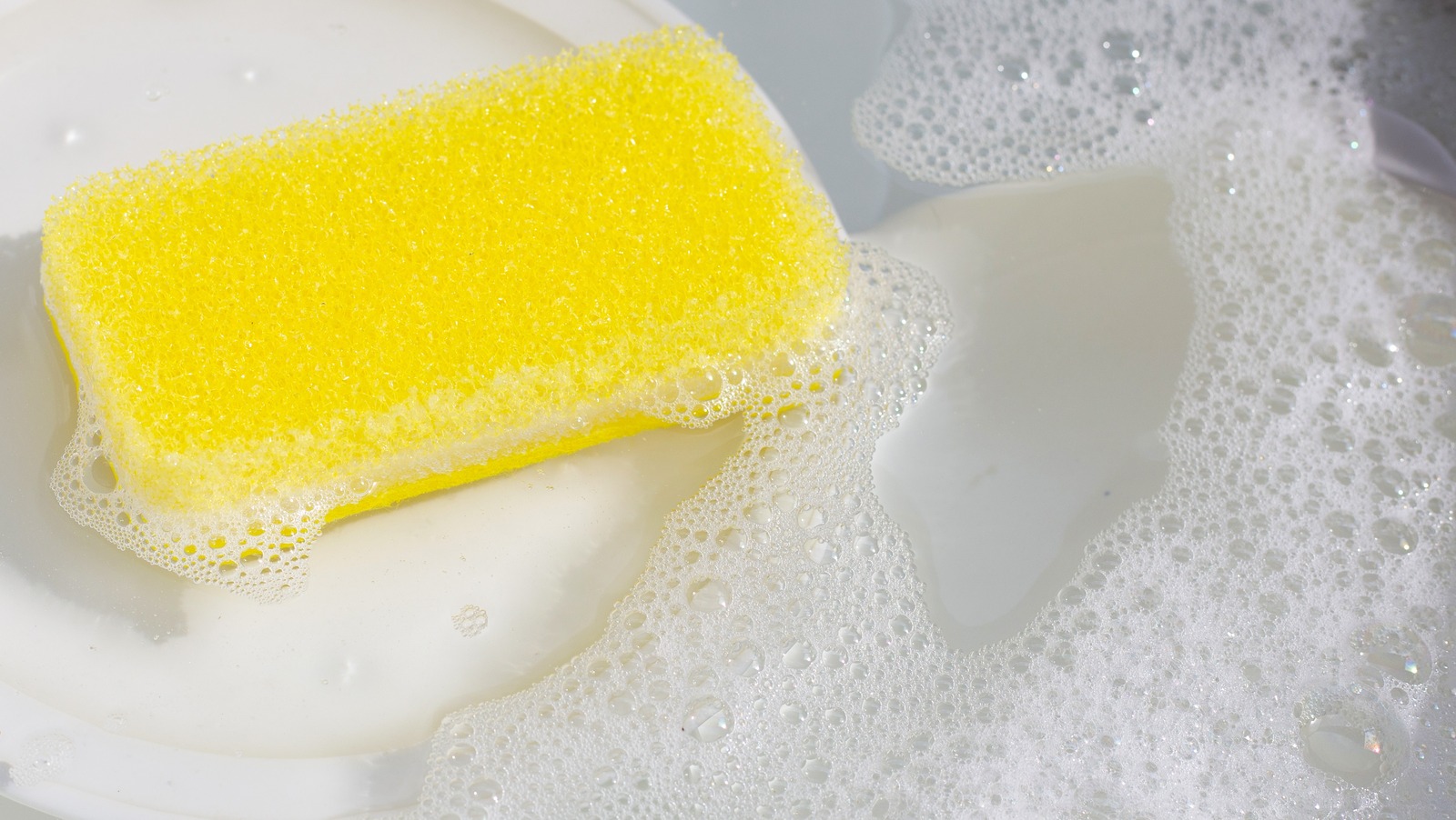 Use Salt to Revive Your Kitchen Sponge