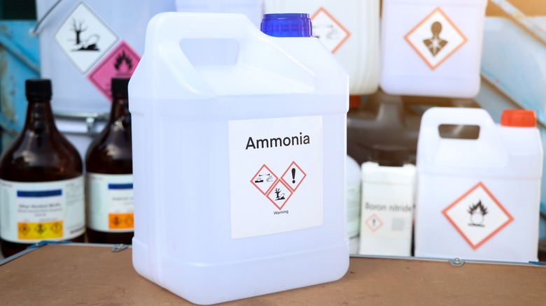 Big bottle of ammonia