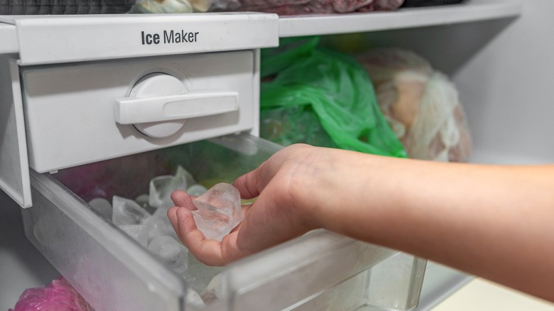 person holding ice cubes