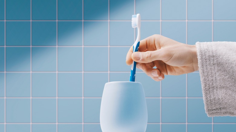 hand removing toothbrush from holder