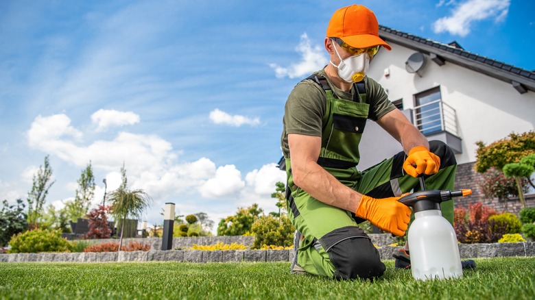 man in lawn holding herbicide