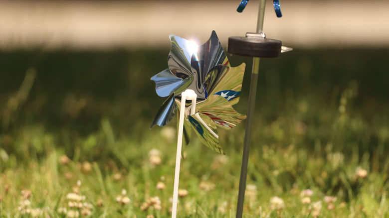 Pinwheel in the grass