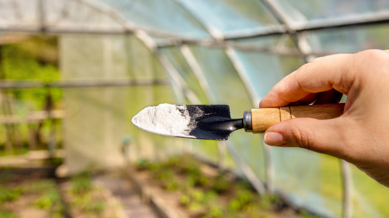 baking soda in hand trowel