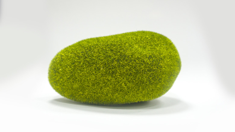 Fake mossy rock