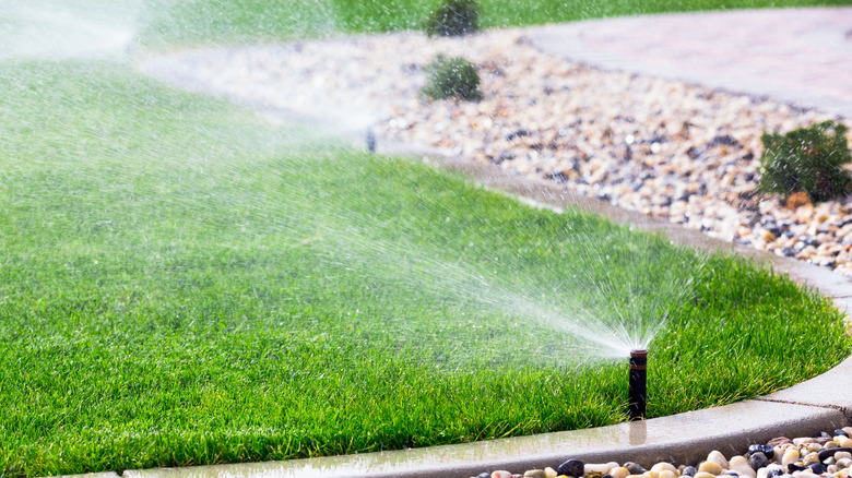 sprinkler watering garden grass