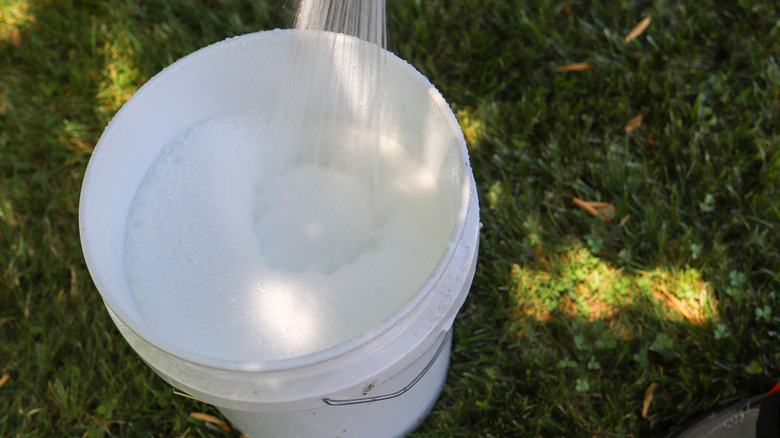 filling bucket of soapy water