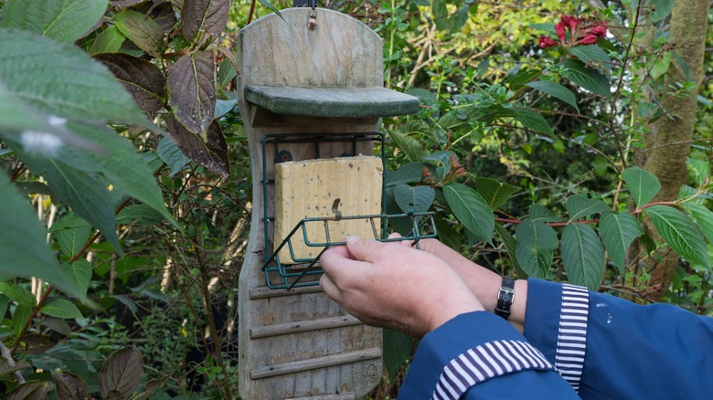 A person inserts a birdseed block into a bird feeder.