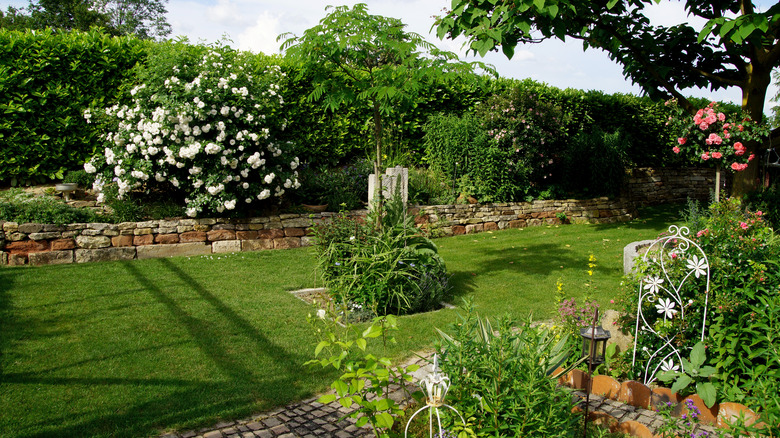 Outdoor area with privacy landscaping