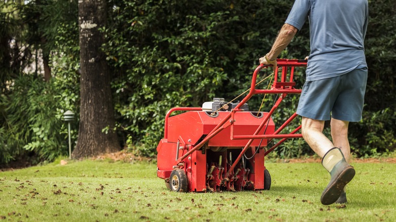 man aerating lawn