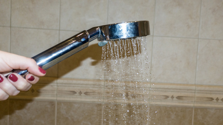 hand holding handheld showerhead