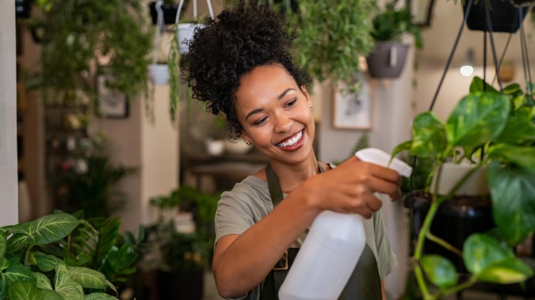 Woman spraying indoor plants with spray bottle