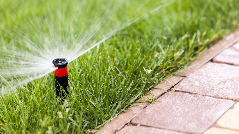 Sprinkler watering grass and sidewalk