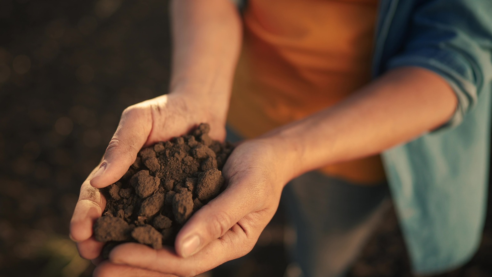 Dry Guy Hand Mixed Soil Blend – The Plant Lady SF