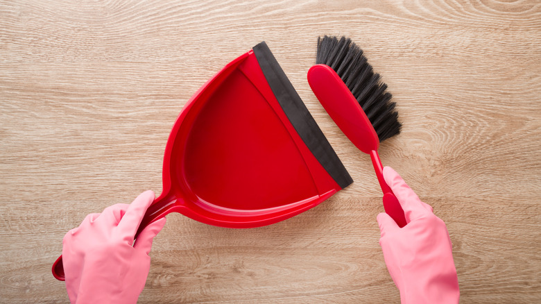 Person holding dustpan and brush