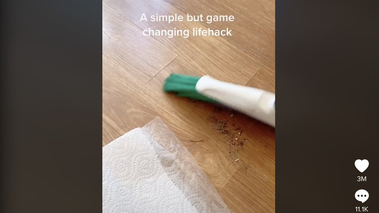 Tik Tok paper towel hack