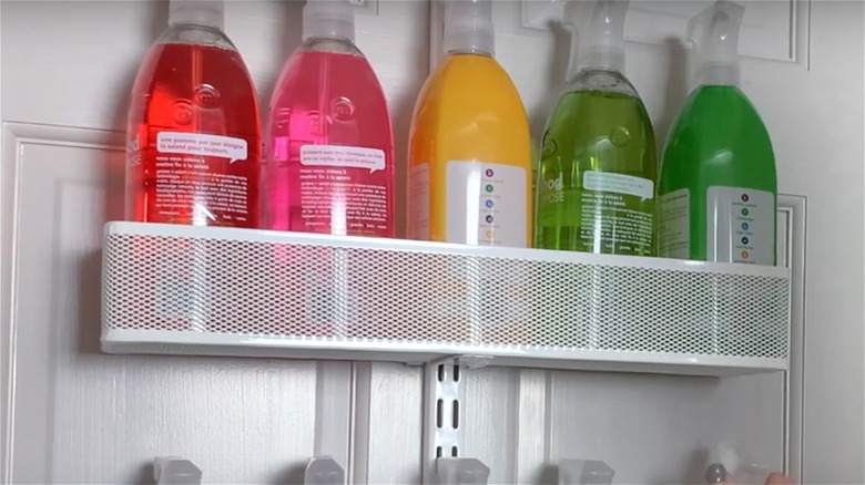 Door organizer with cleaning supplies