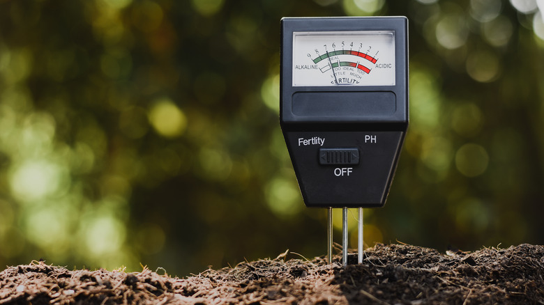 pH meter in soil