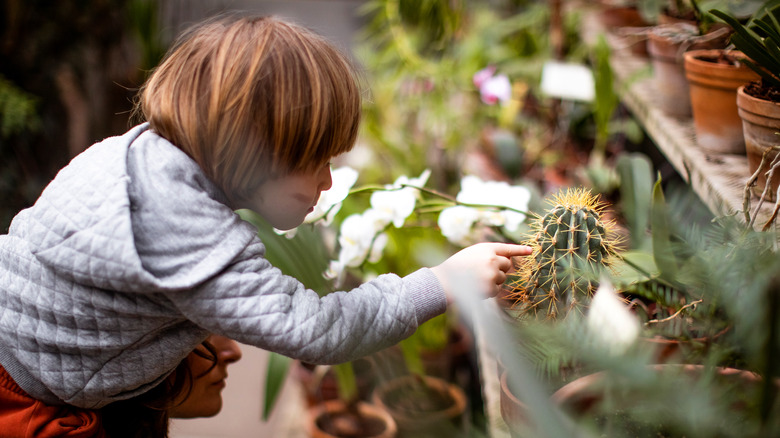 Child looking at a cactus