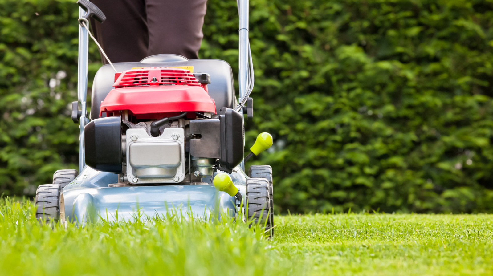 Get a healthier lawn by following this one rule for mowing your grass