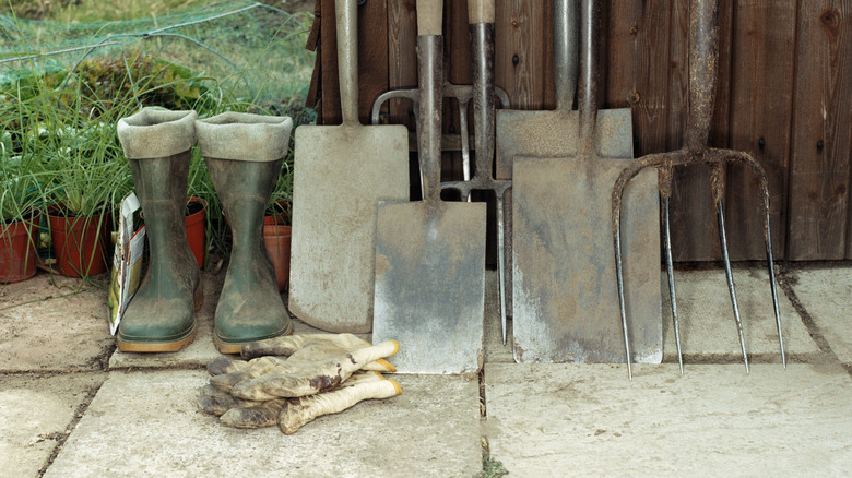 Shed on a paver foundation