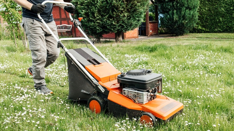 A person pushes a lawn mower in an overgrown yard.