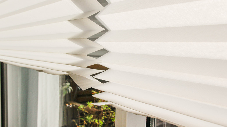 paper window blinds