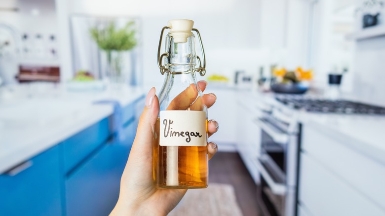 person holding vinegar bottle