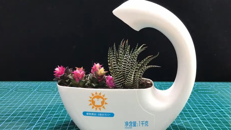 Detergent bottle plant pot