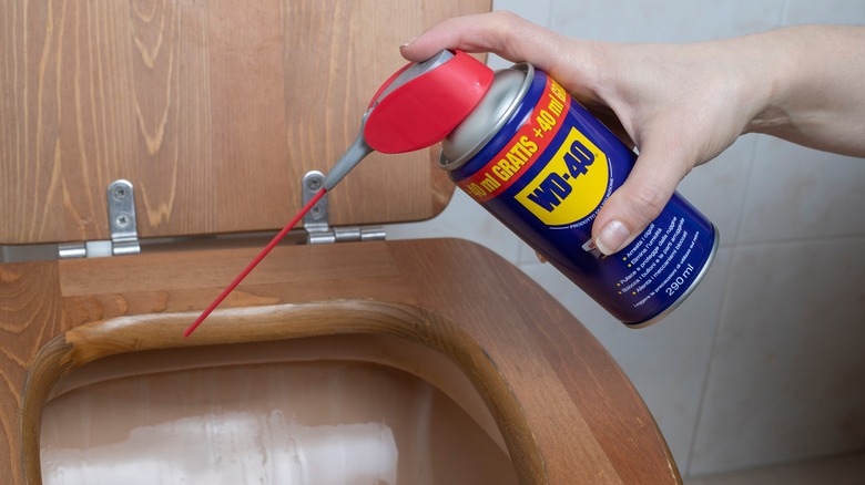 Toilet bowl cleaning with WD-40