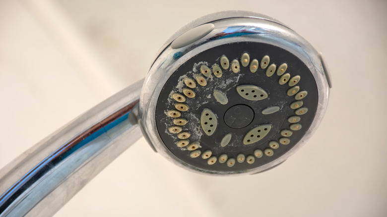 Limescale on shower head