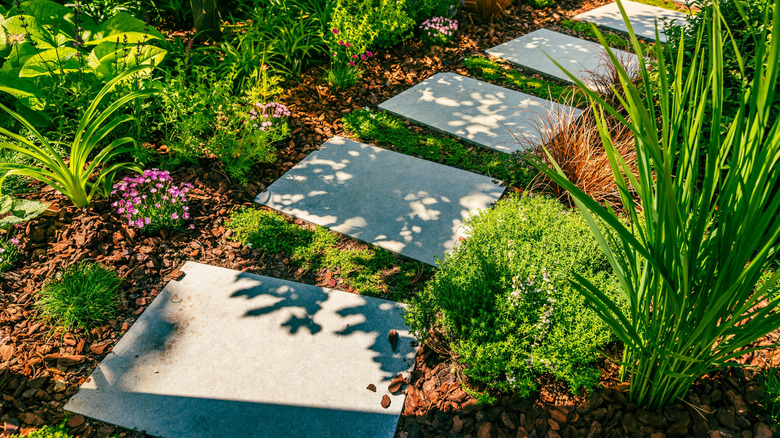 Stone slabs in a garden with wood mulch between them