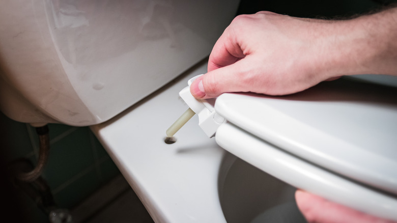 the-simplest-way-to-stop-your-toilet-seat-from-squeaking