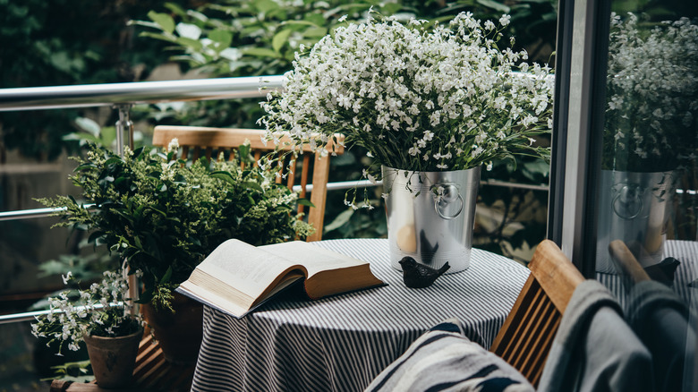 potted plants with book on table
