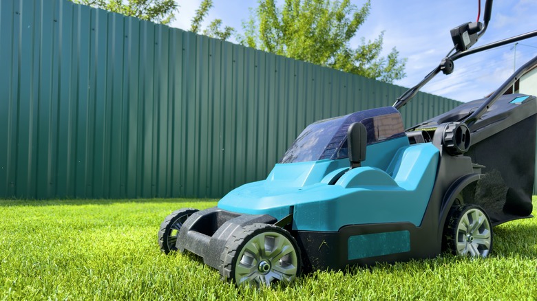 lawn mower on grass