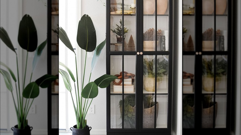 Bookcase with glass doors