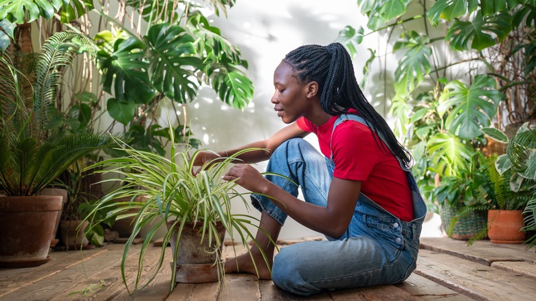 black woman in plant-filled room inspecting a potted plant