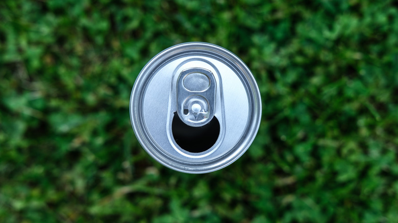 Soda can lies in grass