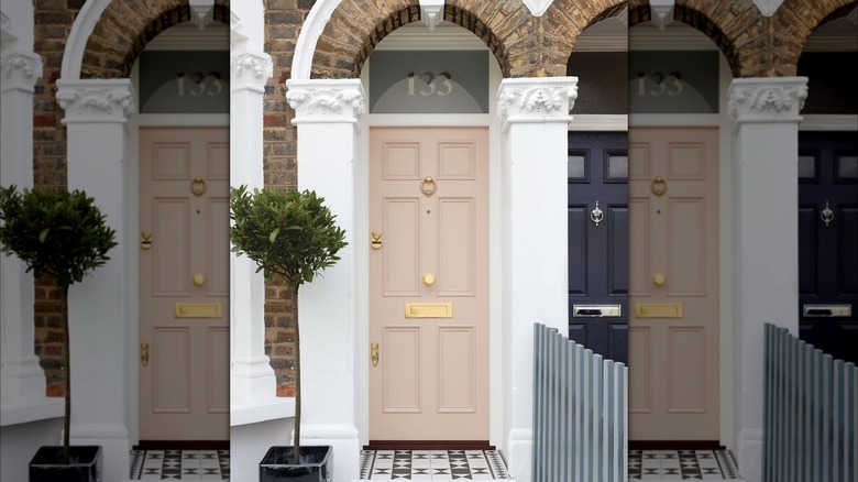 Milk Thistle pink front door