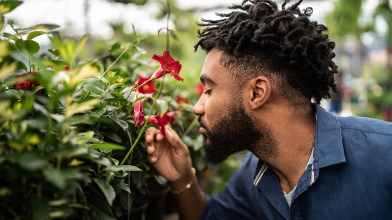 Man smelling potted plants 