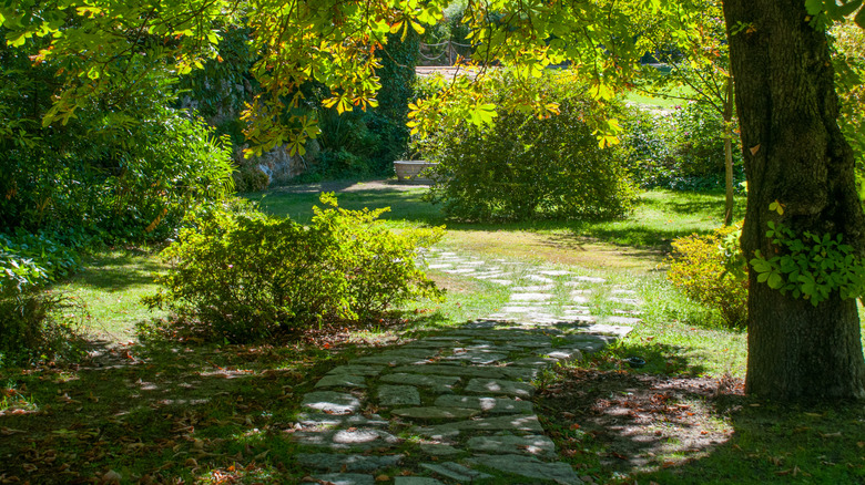 Shady stone pathway through garden