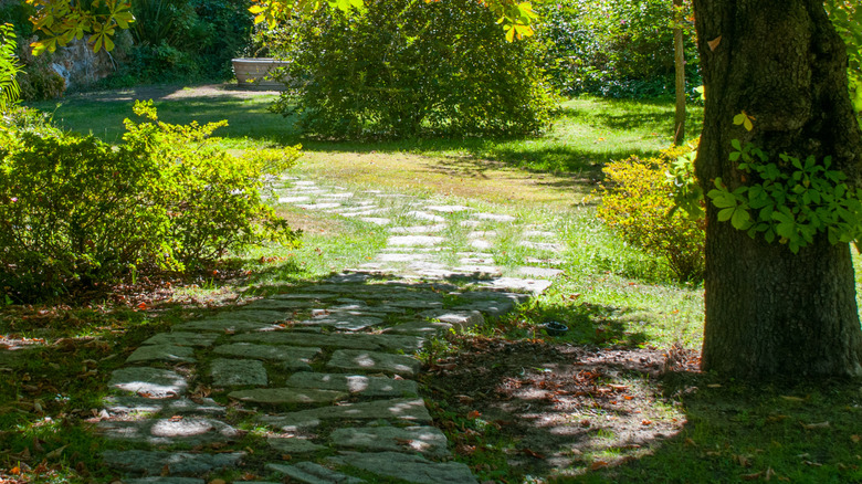 A garden has a mix of sun and shade.