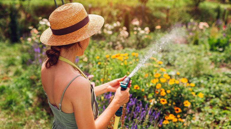 Someone watering their spring garden