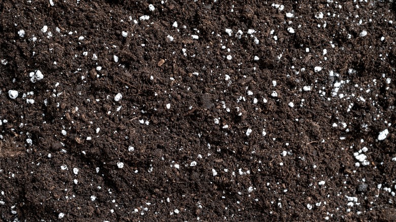 Growing medium with perlite